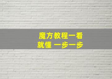 魔方教程一看就懂 一步一步